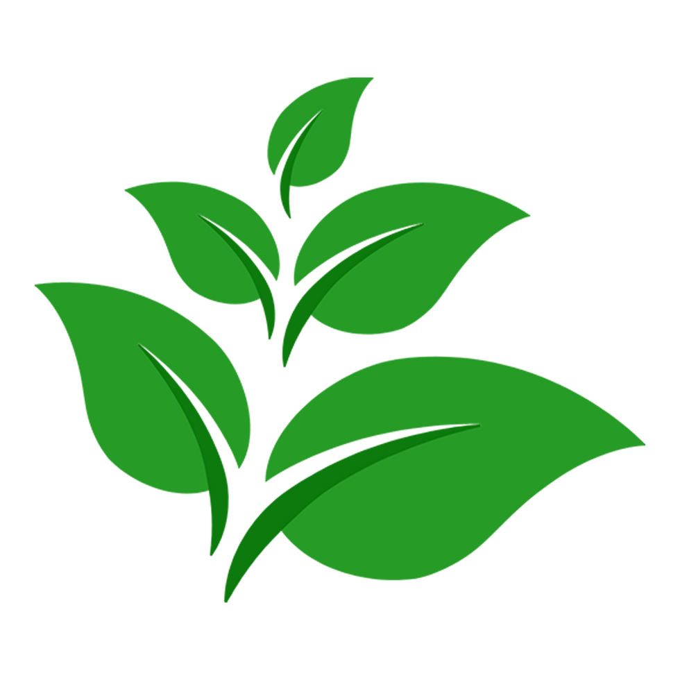 Green leaves, fresh and vibrant