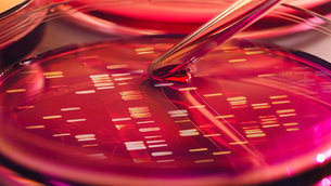 A bite-sized blast of curiosity for your weekend