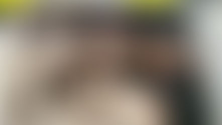 Parceria com o escritório Rodrigues e Tabosa