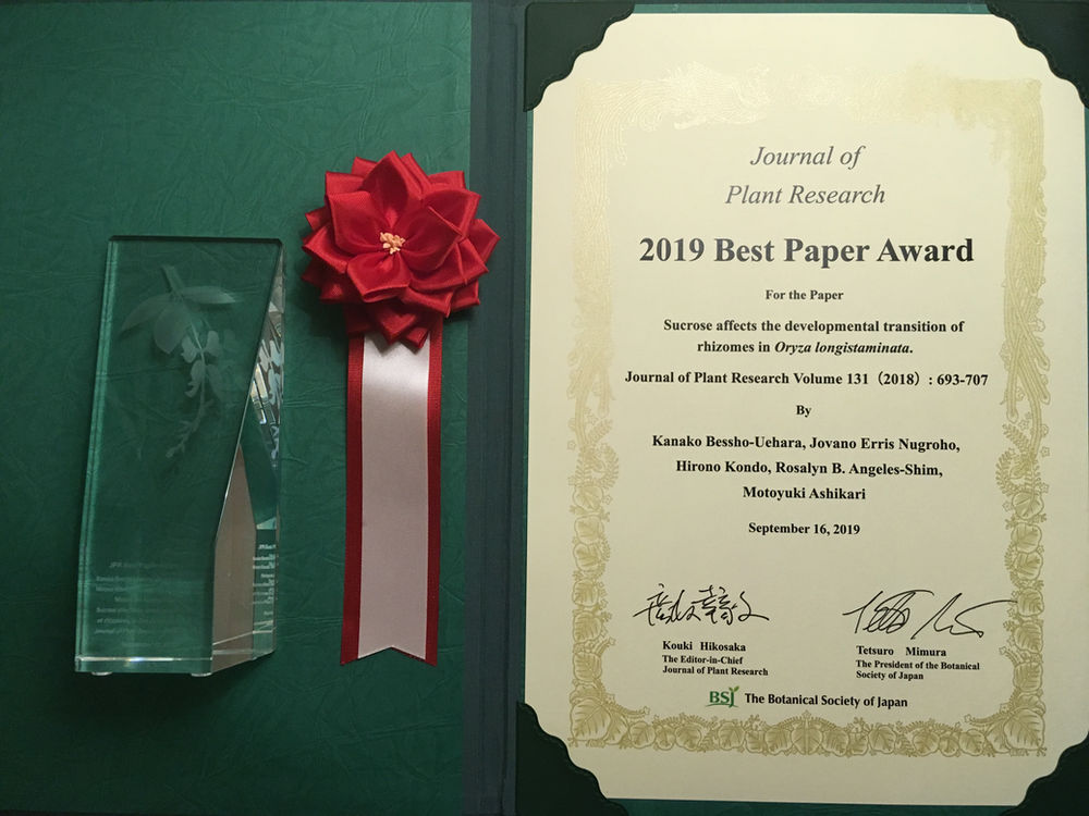 19年jpr論文賞受賞