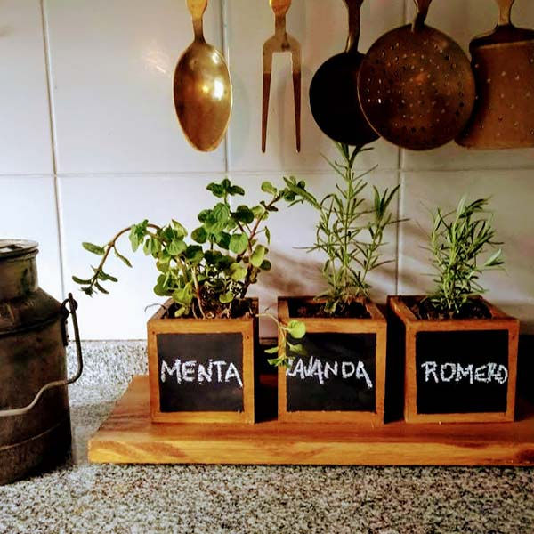 Miniatura: GardenBox