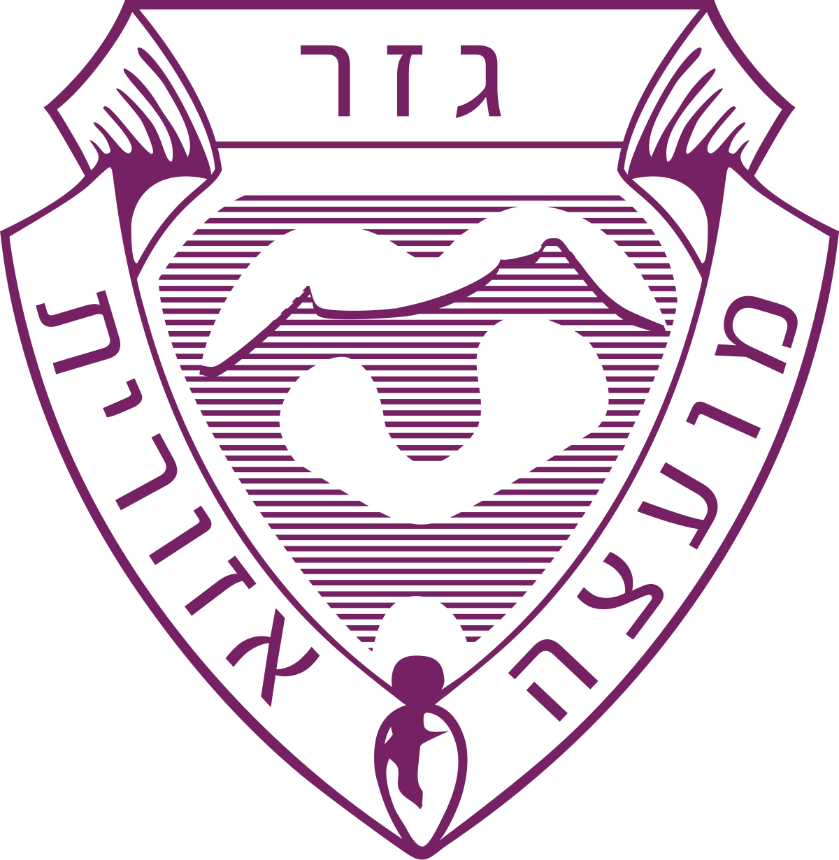 מועצה אזורית גזר