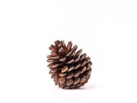 להתחבר לטבע : 50 ציטוטים על חיבור לטבע