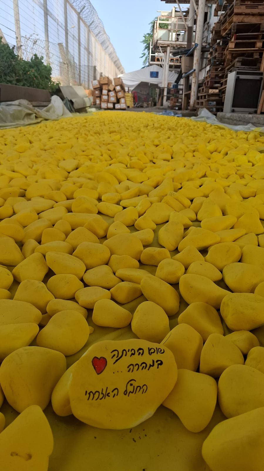 היום הצהוב ביותר. בשבוע הצהוב ביותר. יום ה600