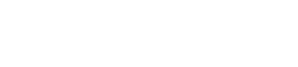 BORDE BLANCO.png