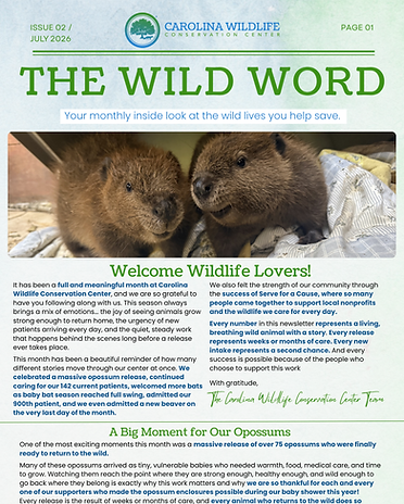 The Wild Word Newsletter .png