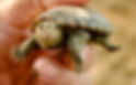 DSCF4380.JPG
