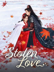 Stolen Love