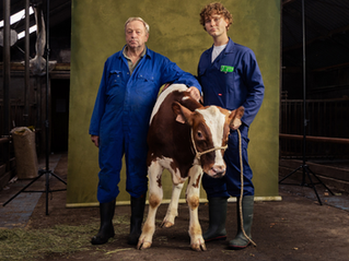 Twee boeren, Wouter Waayer en zijn vader, in een stal met koe Liesje