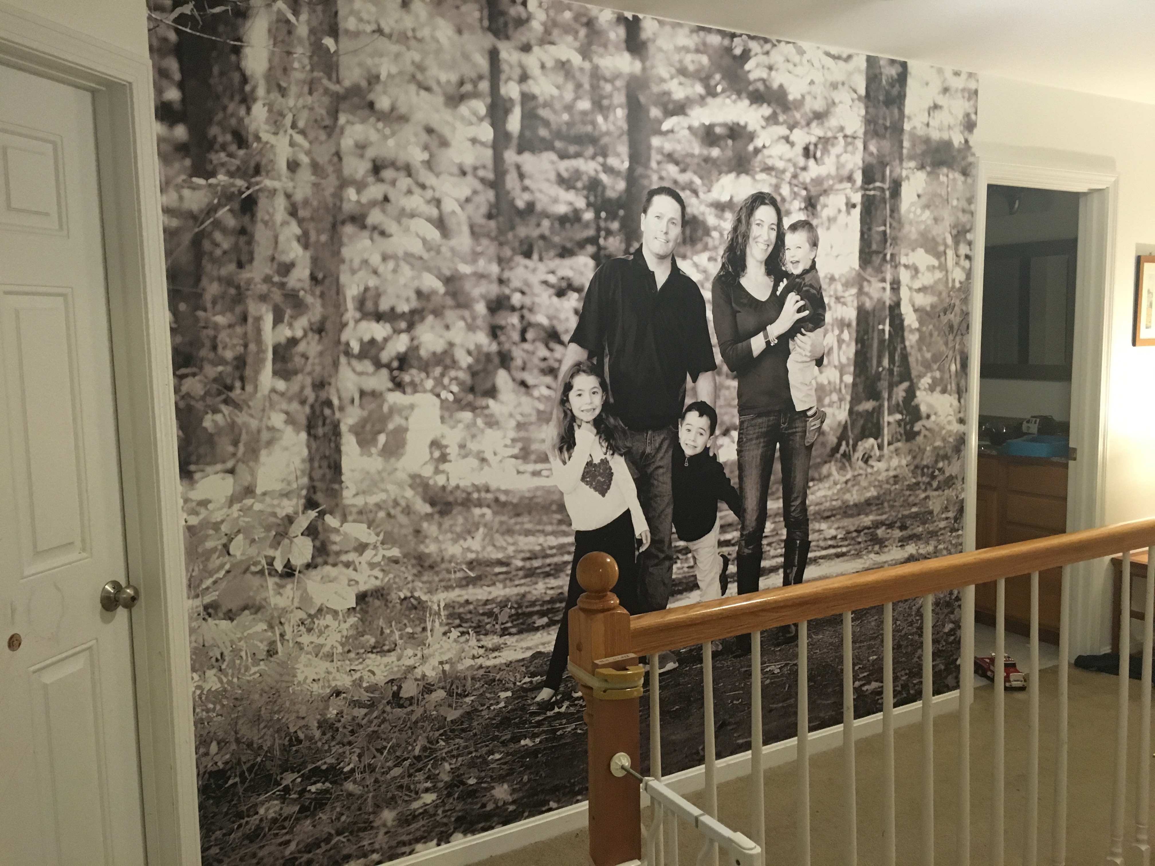 Wall Fabric