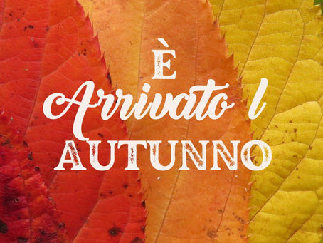 Benvenuto autunno: con il linfodrenaggio non ti temo