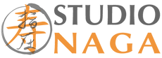 studio massaggi torino