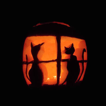 Cassady Kintner 330 KB 1.1 CATS! Indiv Adult.jpeg