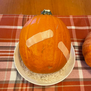 Ollie Bautz 332 KB I left my pumpkin out in the rain, so here’s hoping the rice reset work