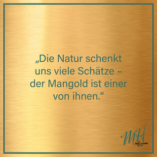 Die vielseitige Welt des Kürbis