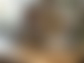Eine Person sitzt konzentriert an einem hellen Holztisch in einem ruhigen Arbeitszimmer. Vor ihr liegt ein offenes Notizbuch mit einer leeren Seite und der Überschrift ‚Freewriting – einfach loslegen!‘. Daneben steht ein Laptop mit einem leeren Dokument, das den Titel ‚Mein erstes Buch‘ trägt. Auf dem Tisch befinden sich eine Tasse Kaffee und ein Buch mit dem Titel ‚Bird by Bird‘ von Anne Lamott. Im Hintergrund hängt ein gerahmtes Bild mit einem Blick in einen ruhigen Wald. Das natürliche Licht, das durch ein Fenster fällt, schafft eine warme und einladende Atmosphäre, die zum kreativen Schreiben einlädt.“