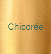 Chicorée.png