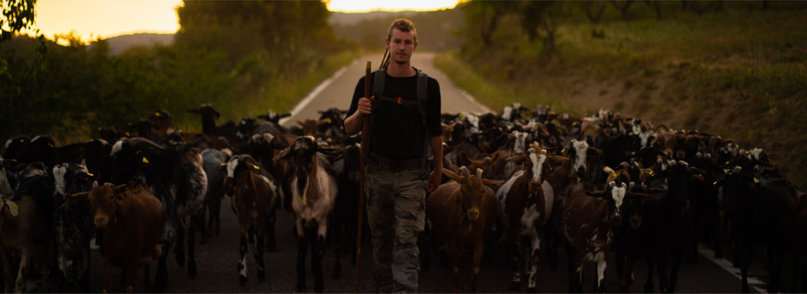 Sin título-1_Mesa de trabajo 1 copia.jpg