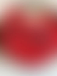 6月20日(木) 午前