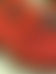 7月5日(金) 午前