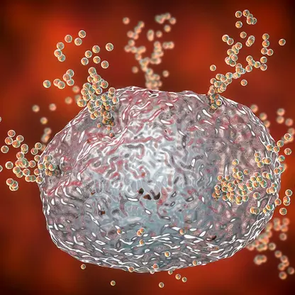 Understanding How Food Allergies Work May Lead to the Prevention of Anaphylaxis