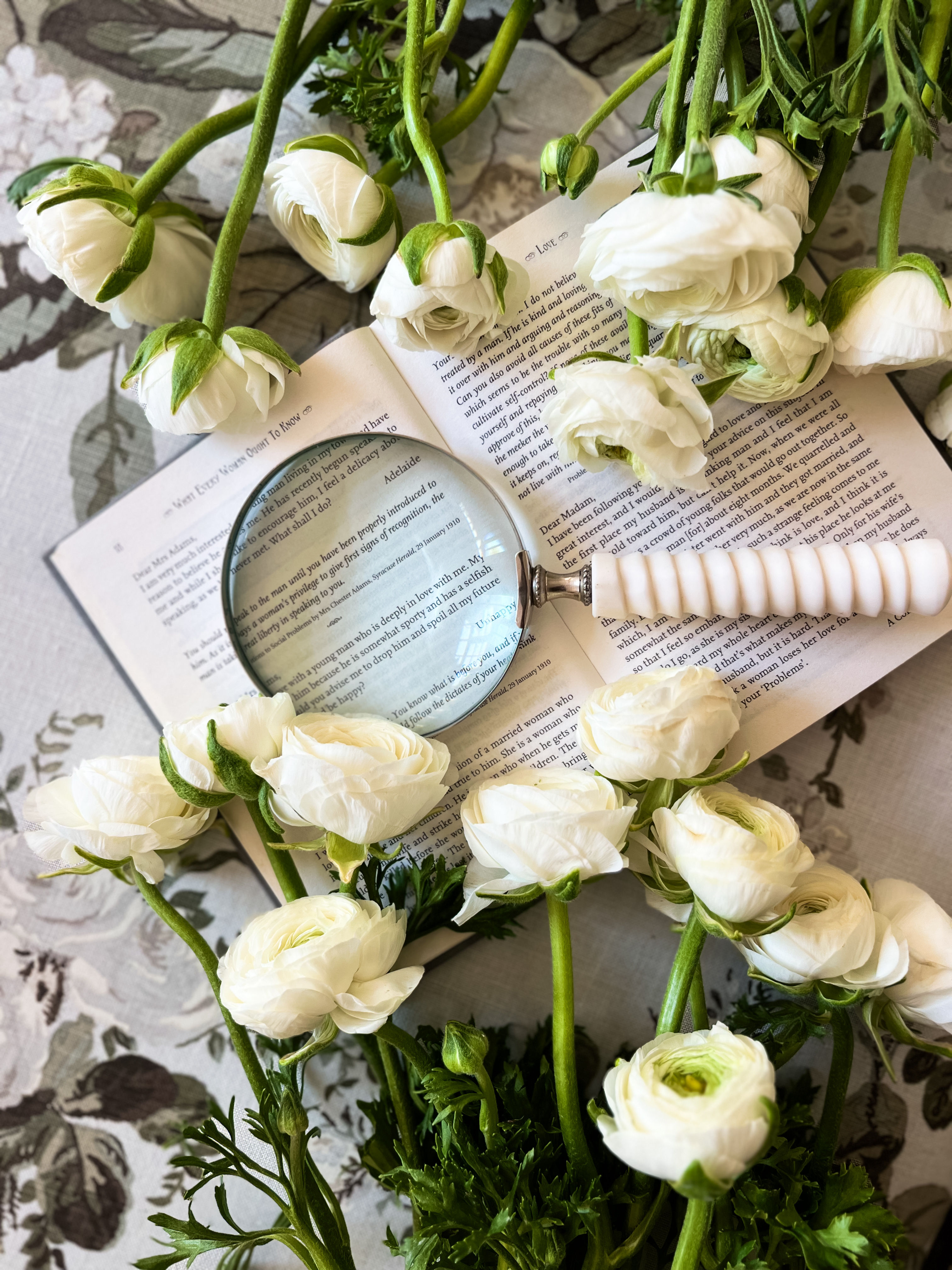 Ranunculus Collection - 20 stems - Limited Edition
