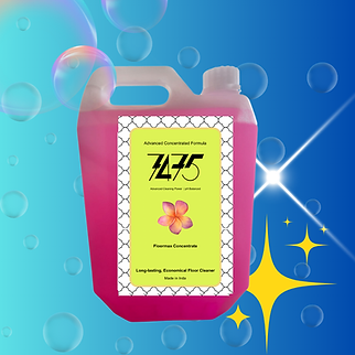 Untitled design (84).png