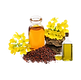 Untitled design (62)_edited.png