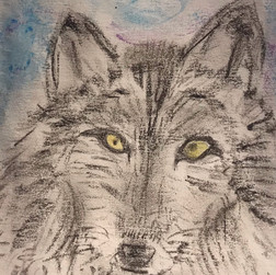 Fanart von Orlando