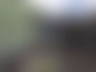 Starting on Site: Timber-frame Eco Summerhouse in Sneyd Park