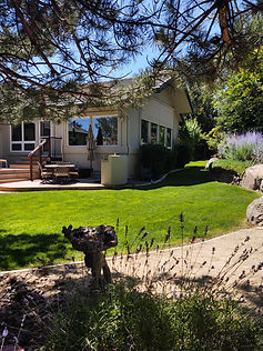 IMG_20250705_111854470_HDR.jpg