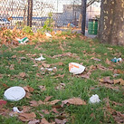 dirty-parks-DN.jpg