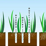 the-benefits-of-lawn-aeration.jpg