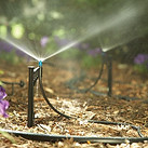 best-irrigation-system.jpg