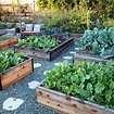 benefit-raised-garden-beds-feature.jpeg