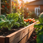 vegetable-garden.jpg