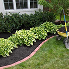 mulch-for-landscape.jpg