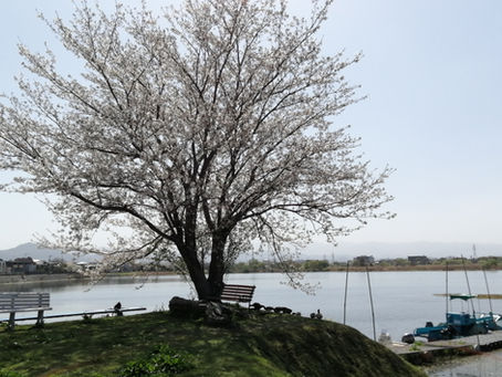 ぽかぽか陽気に誘われて