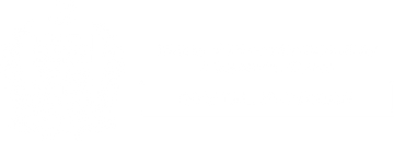 Asset 3_4x.png