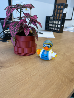 Prof. Duck is a Green Thumb!