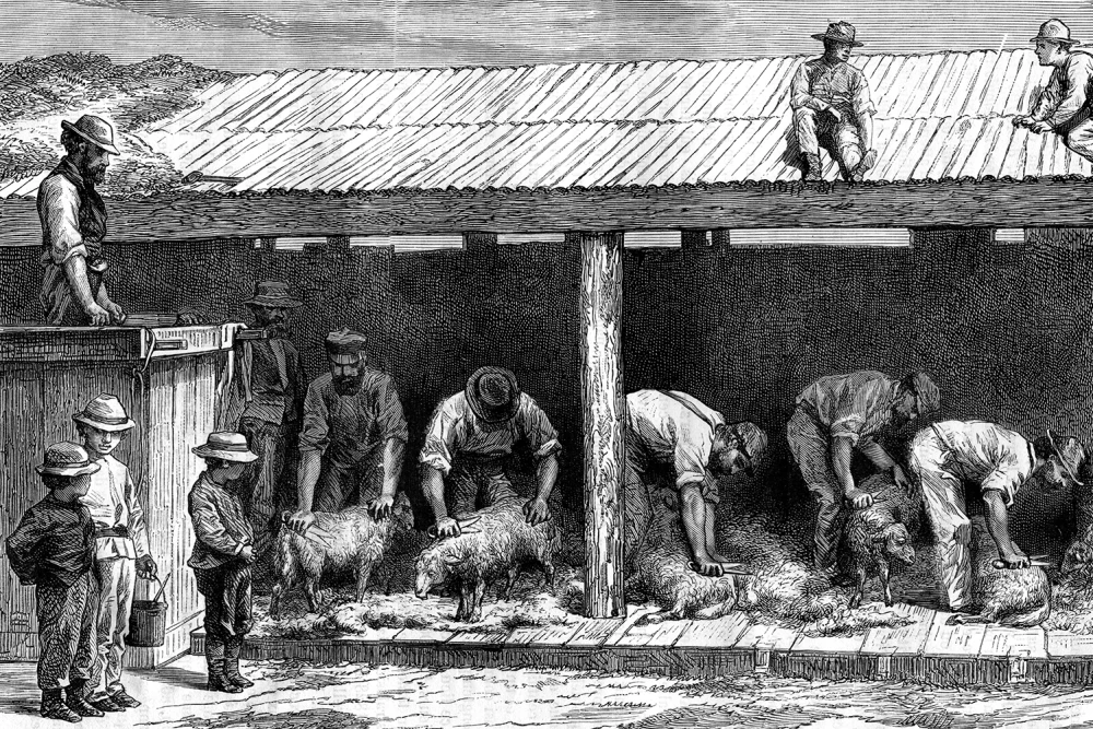korea-australia-sheep-diplomacy-GettyImages-463963881.jpg.webp
