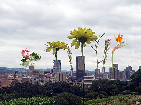 union buildings33.00_00_03_09.Still002.jpg