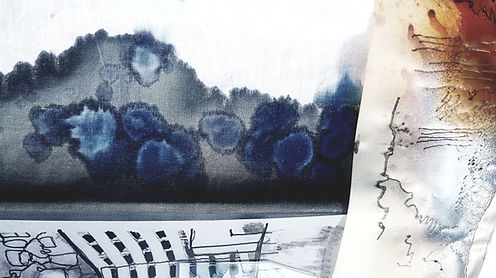 cyanotype (2).jpg