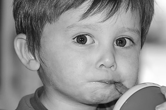 Fund The Essentials Website Graphic