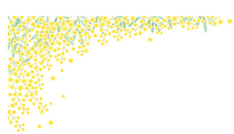 ミモザ