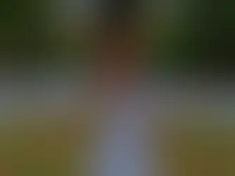 The Ultimate Essential Wedding Vendor List for Your Outdoor Ohio Celebration