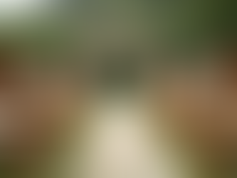 Dayton's Lakefront Wedding Locations: Embrace the Charm of Nature’s Embrace