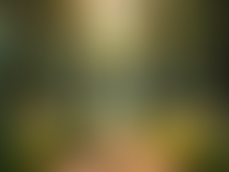 Ohio Elopement Deals: Exploring Ohio Elopement Packages for Couples