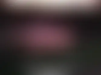 The Only True Lakefront Wedding Venue in Dayton, Ohio