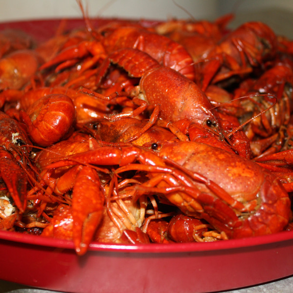 Stelly's Boiling Spot Boiled Crawfish Abbeville, LA